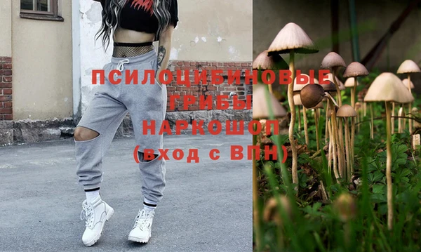спайс Козловка