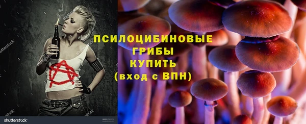 марки lsd Козельск